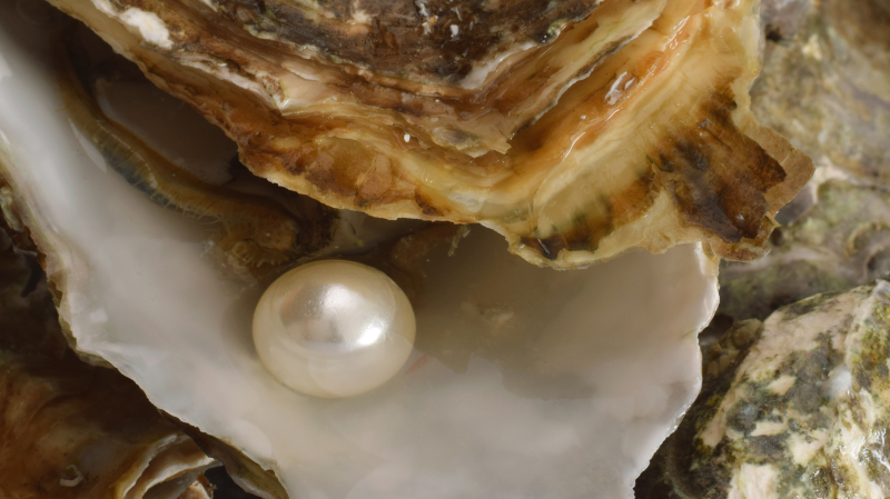 Life Of Pearls - Melbourne Jewellers