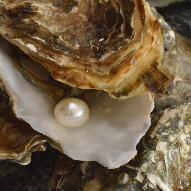 Life Of Pearls - Melbourne Jewellers