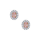 Blush Lea Earrings - Melbourne Jewellers