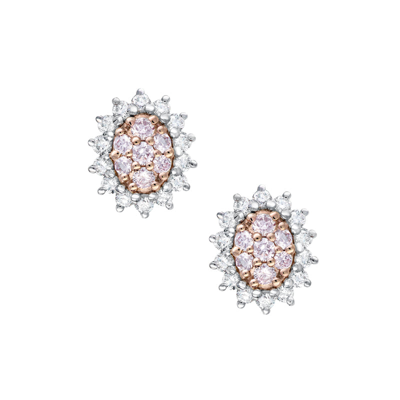 Blush Odette Earrings - Melbourne Jewellers