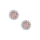 Blush Eloise Earrings - Melbourne Jewellers