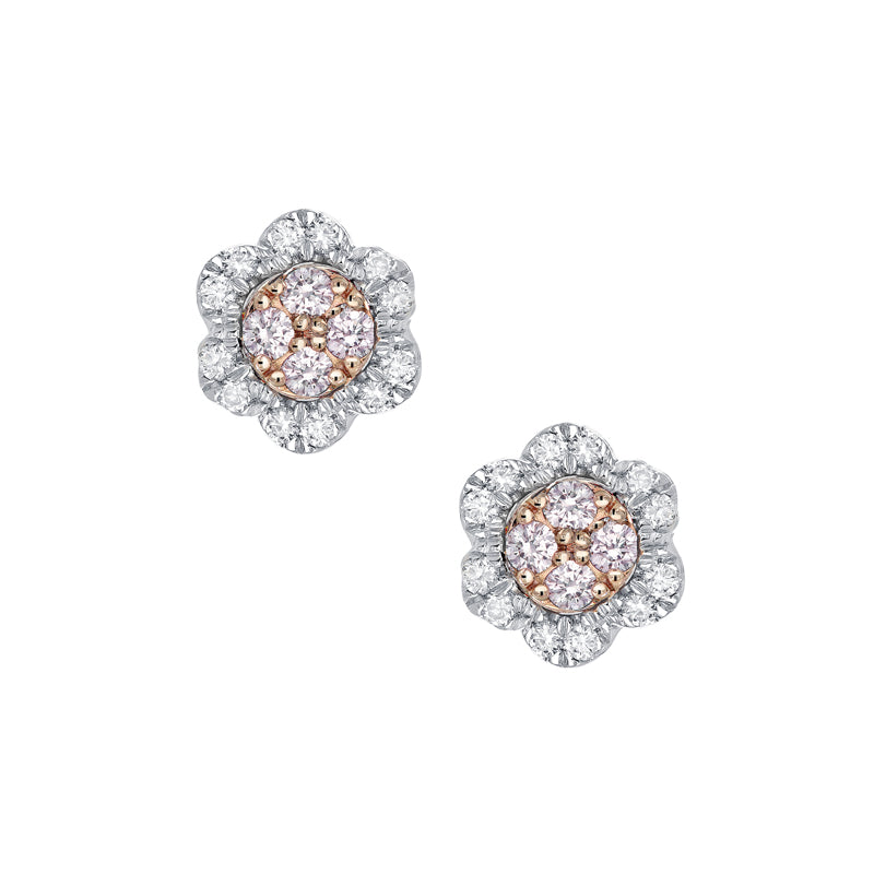 Blush Lucy Earrings - Melbourne Jewellers