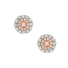 Blush Rosie Earrings - Melbourne Jewellers